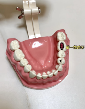 92e6ec4cbe809cec3d672ec3da0a7e8.png